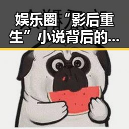 娱乐圈“影后重生”小说背后的真实线索分析