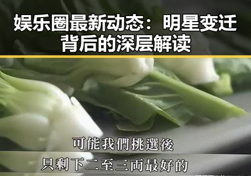 娱乐圈最新动态：明星变迁背后的深层解读